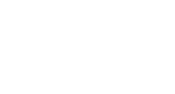 VP Auto